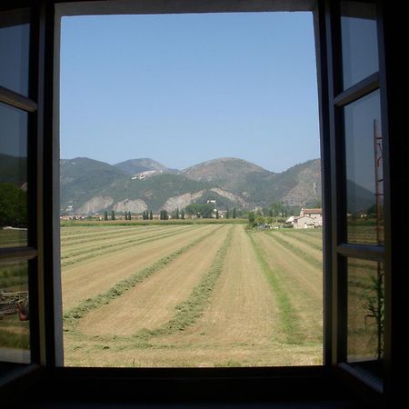 B&B Antica Dimora Сан-Джуліано-Терме Екстер'єр фото